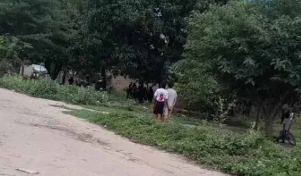 Tragedia en Tartagal: Un hombre cayó de un árbol mientras cosechaba mangos y murió