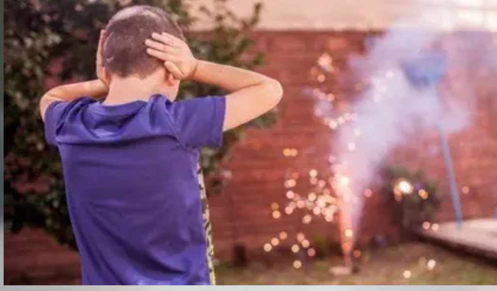 "Les pedimos que se acuerden unos minutos de nosotros”: El desesperado pedido de las familias de personas con TEA para que no se use pirotecnia sonora