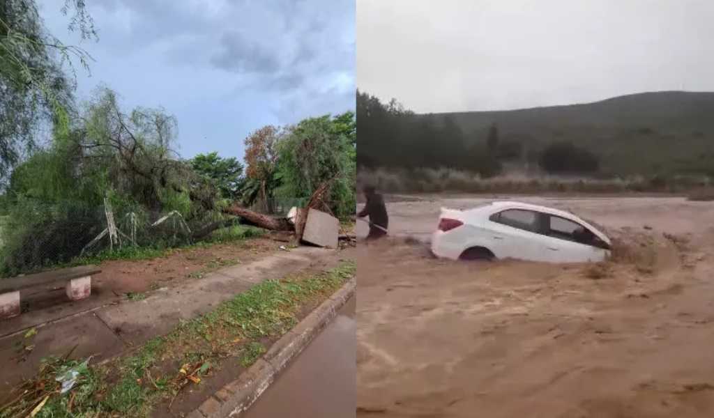 Un tremendo temporal en el norte salteño provocó voladuras de techos, caída de árboles y crecida de ríos
