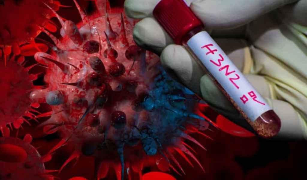 La ANLIS Malbrán detectó tres casos de influenza A (H3N2) subclado K en Argentina