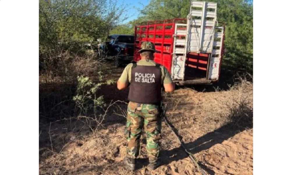 Cayó una banda de cuatreros: Detuvieron a un grupo que intentaba sustraer 16 cabezas de ganado de una finca en Rosario de la Frontera