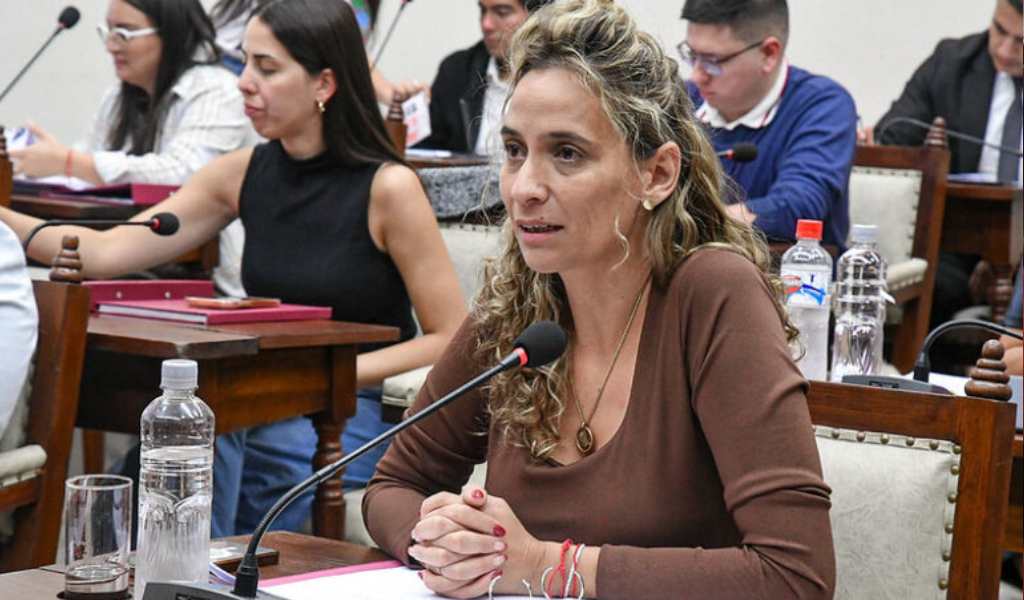Alivio fiscal: En la ciudad de Salta ya no se exigirá el libre deuda municipal para dar de baja un comercio