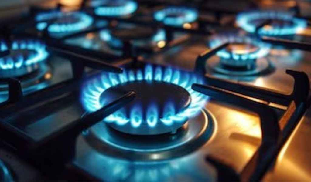 Por las medidas de Nación temen que la falta de gas en invierno genere despidos y parálisis en fábricas de Salta