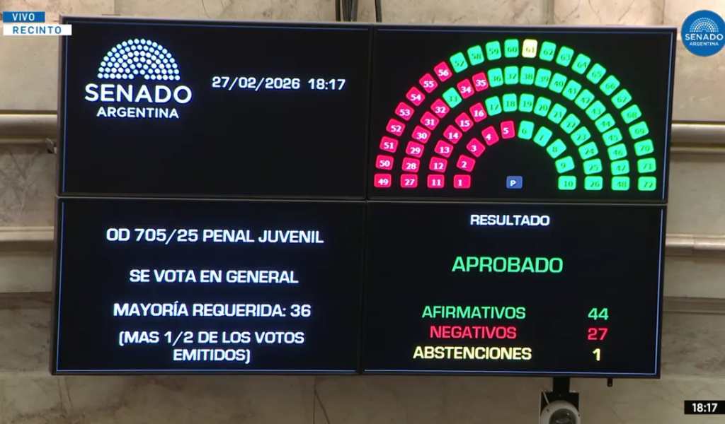 El Senado convirtió en ley el Régimen Penal Juvenil: La edad de imputabilidad baja a 14 años