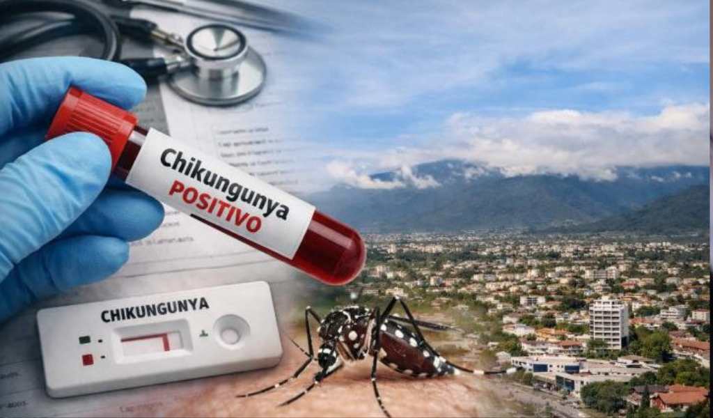 Alerta sanitaria en la frontera: El Municipio de Aguas Blancas confirmó 9 casos de chikungunya