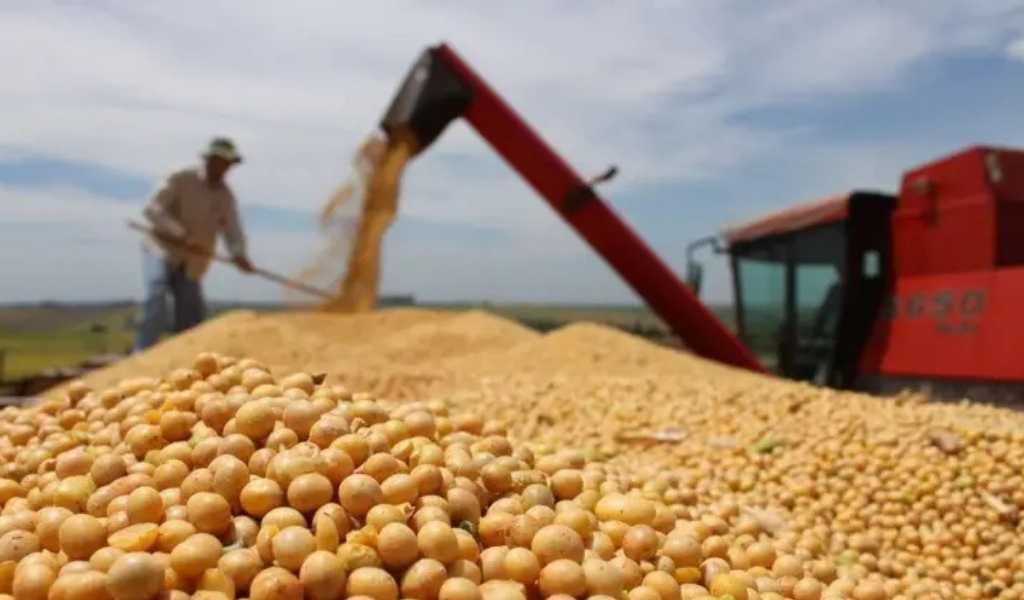 ¿Se aprovechan? El campo reconoce que puede haber aumentos en el precio de alimentos en la Argentina por la guerra