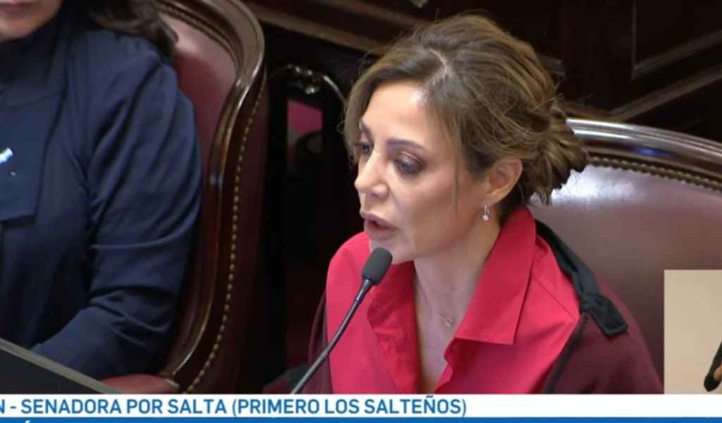 Flavia Royón advirtió que las industrias de Salta podrían tener un corte de gas durante 90 días