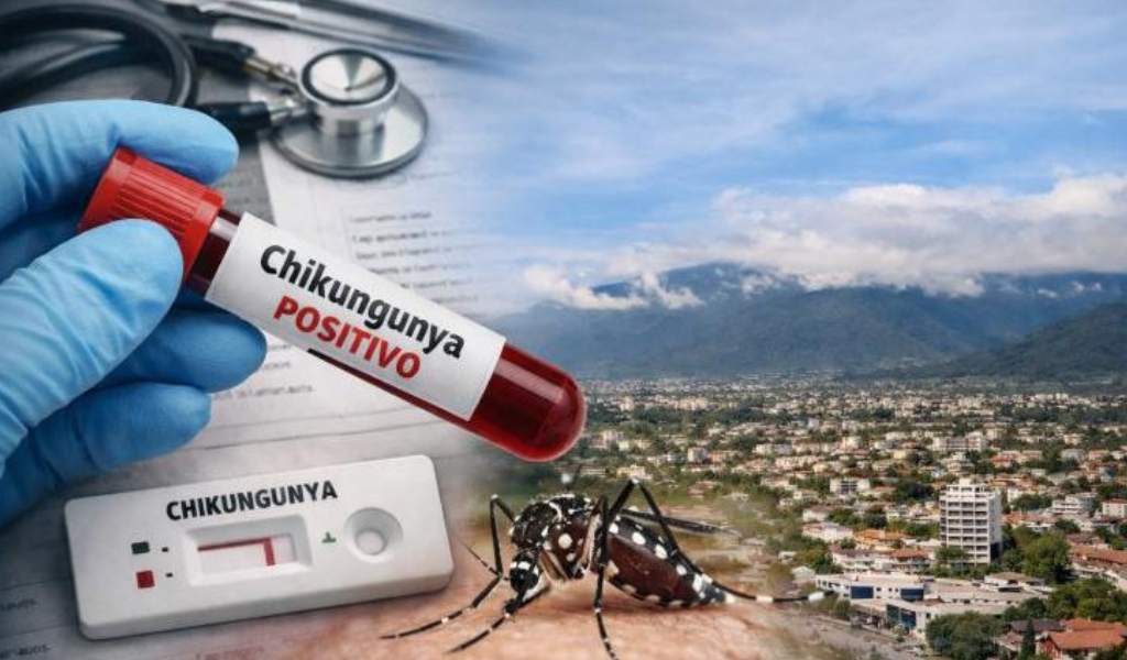 Preocupación por el avance del chikungunya en Salta tras las inundacions y la lluvia pesistente