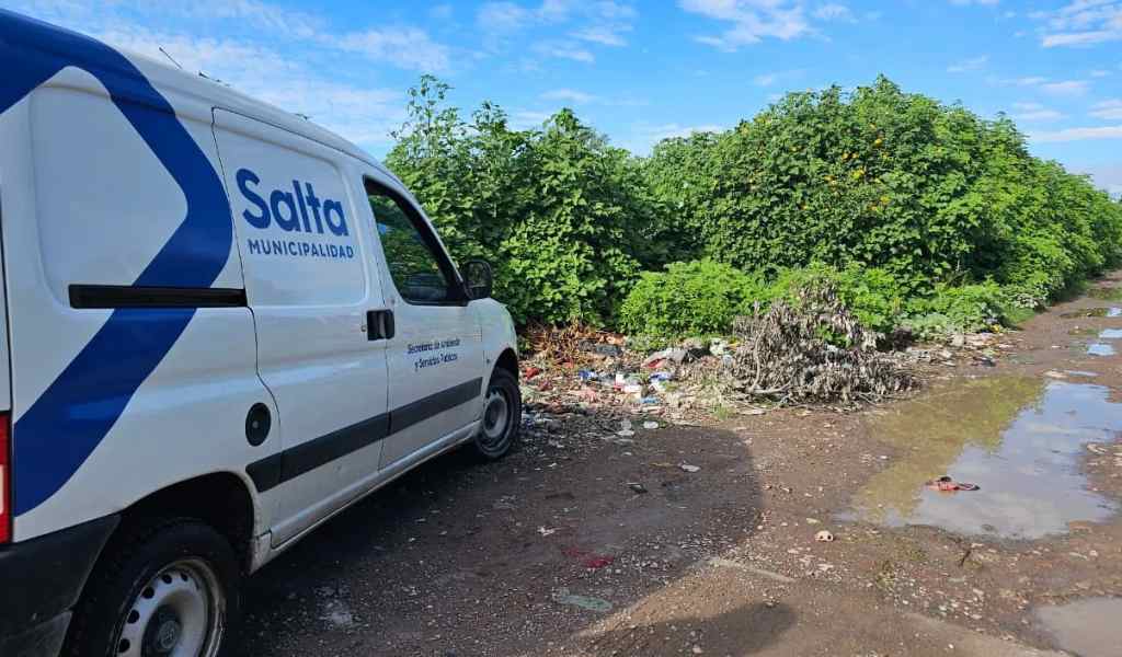 El municipio insta a los dueños de baldíos a tenerlos en condiciones