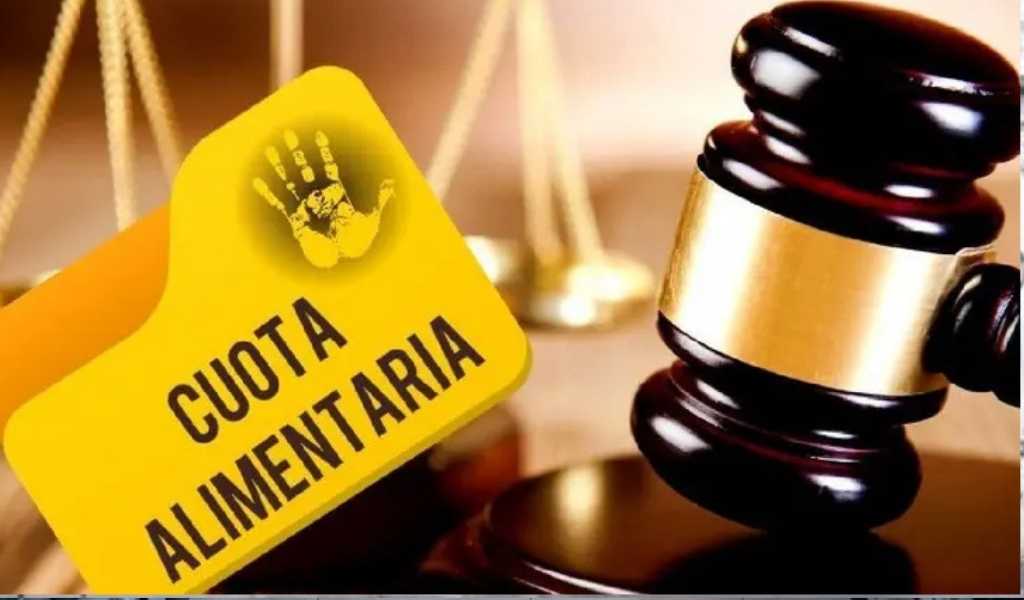 La Justicia salteña obliga a una madre a pagar la cuota alimentaria para su hijo adolescente que es criado por su padre