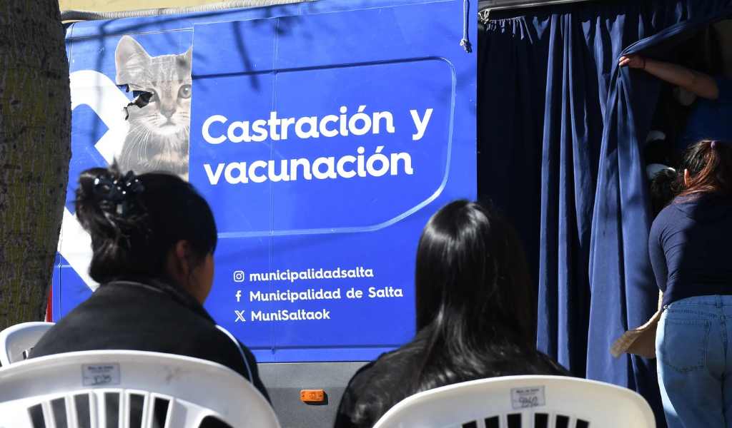 "Dales una vida más larga y sana": El Móvil de Castración de la Municipalidad estará la próxima semana en el SUM de Palermo I
