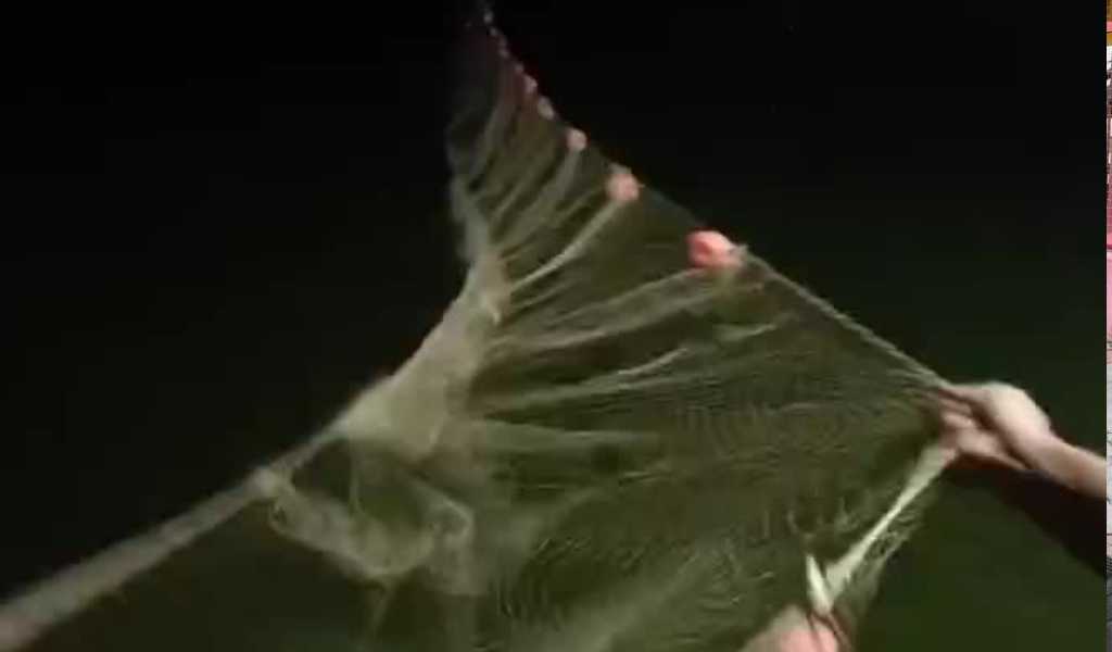 Dique Cabra Corral: Un catamarán quedó atrapado en una maraña de redes y destapó una red de pesca furtiva