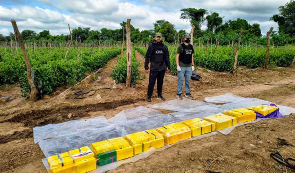 Cayó una organización que alquilaba fincas agrícolas en Salta para acopiar cocaína