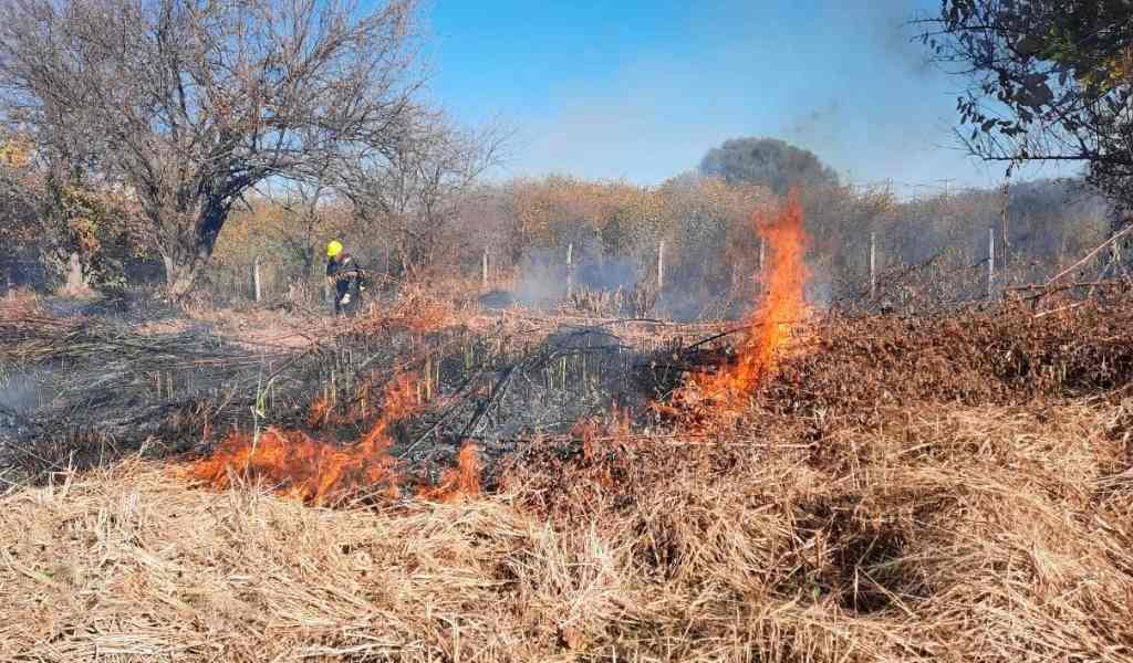 Estiman que por los incendios forestales se quemaron más de 8.700 hectáreas en Salta en lo que va del 2026