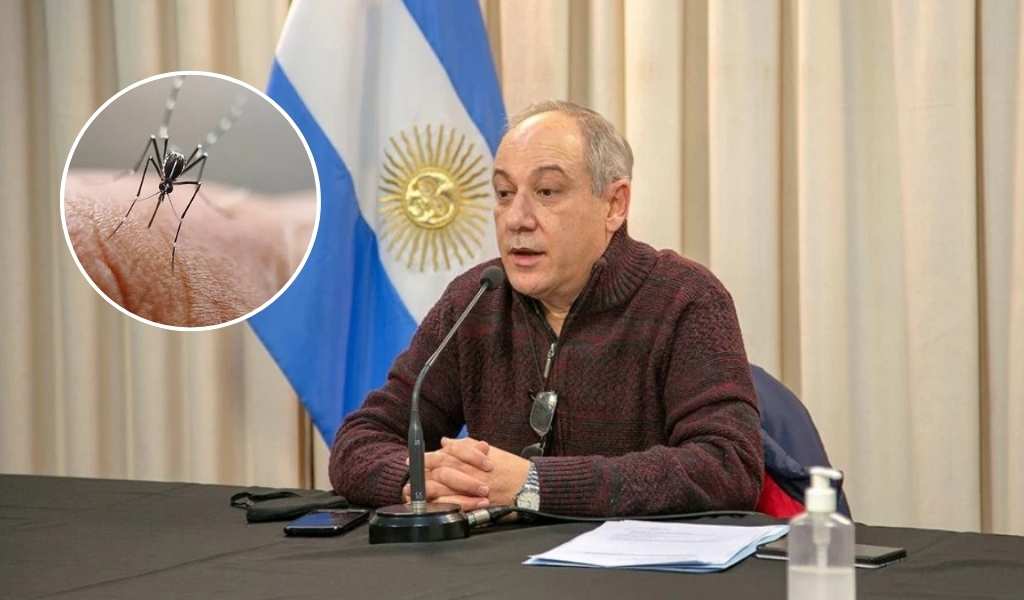 Alerta en Salta por El Niño y el Super Niño: Advierten que las lluvias podrían multiplicar la presencia del mosquito Aedes aegypti