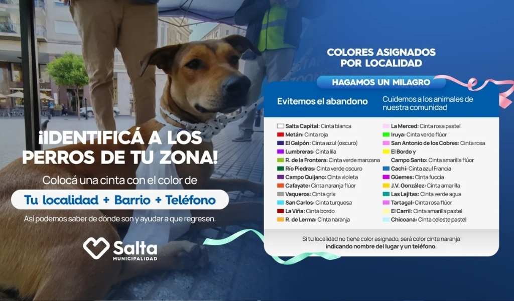 "Hagamos un Milagro": La cruzada silenciosa para que los perros no queden a la deriva en el Milagro