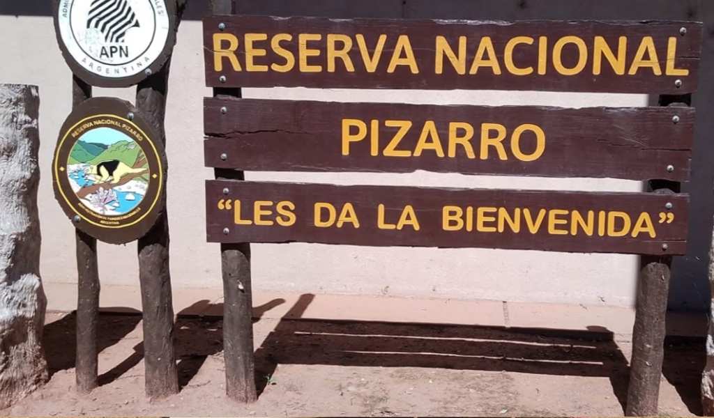 Condenan a dos cazadores en Anta tras el ataque de sus perros a un oso hormiguero