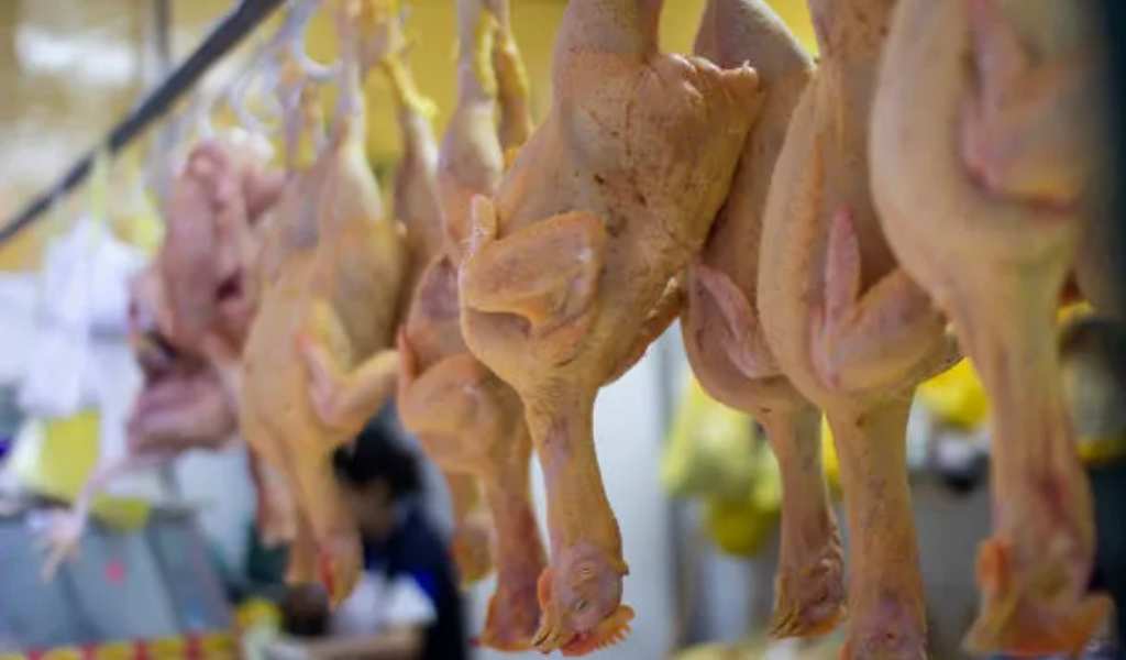 El pollo ya desplazó a la carne vacuna como la proteína más consumida por los argentinos