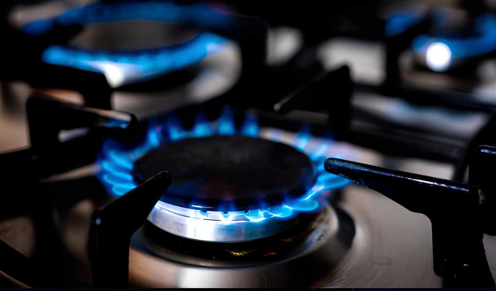 El Gobierno acelera el ajuste con fuertes aumentos en el gas previo al invierno  y que afectará a 10 provincias