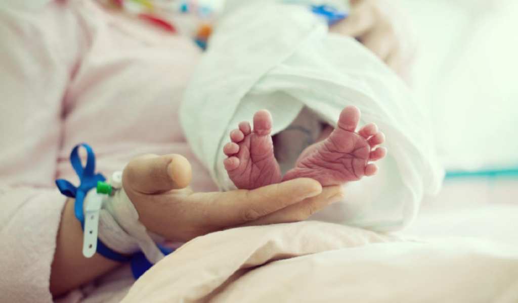 Histórico: la natalidad en Salta se desplomó un 52% en la última década