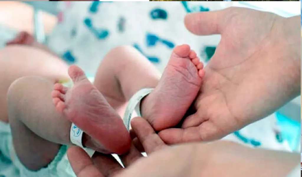La natalidad en Salta cayó un 52% en los últimos 10 años: La provincia registra una de caídas  más pronunciadas del país