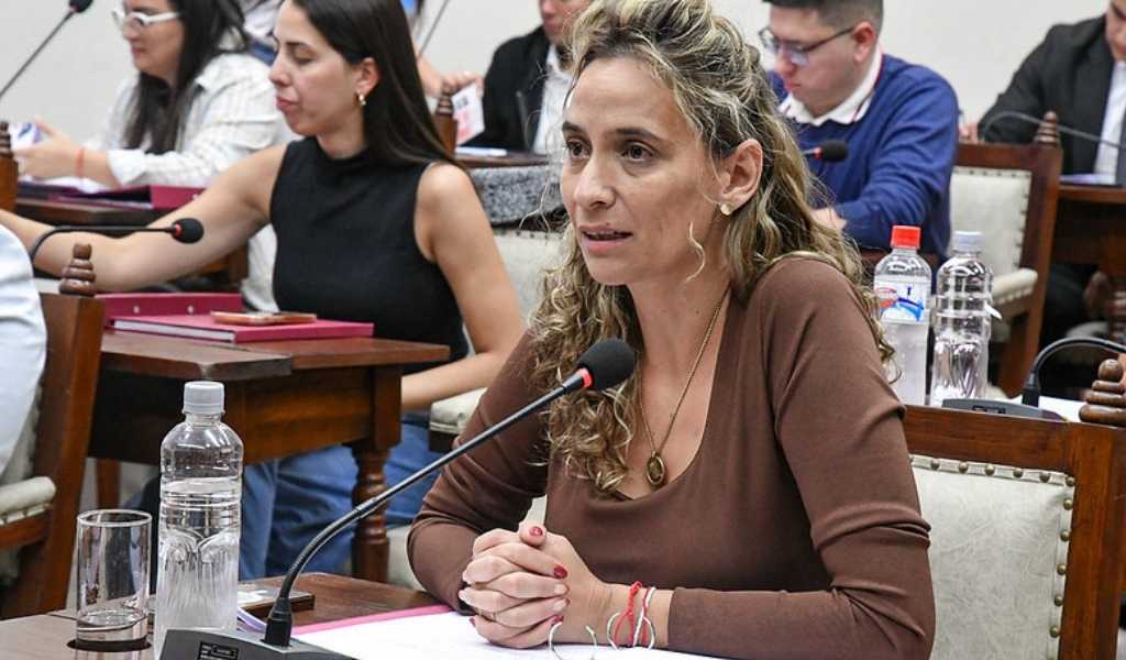 Concejales solicitan un precio diferencial del combustible para Salta: “Entre el 35/36% del precio final de la nafta son impuestos nacionales”