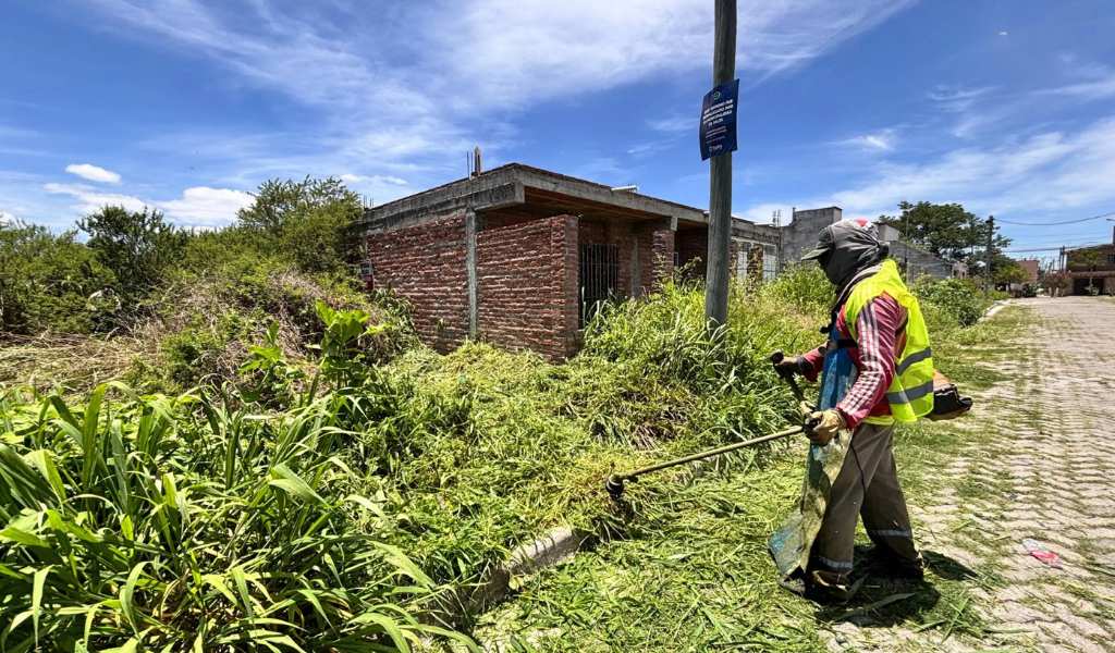 Desmalezado obligatorio: El municipio de Salta endurece controles y sancionará a dueños de baldíos que estén abandonados