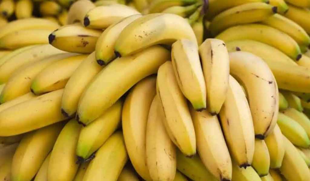 Bananeros salteños en alerta por la importación indiscriminada: "hoy corre peligro nuestra producción de fruta en el norte”