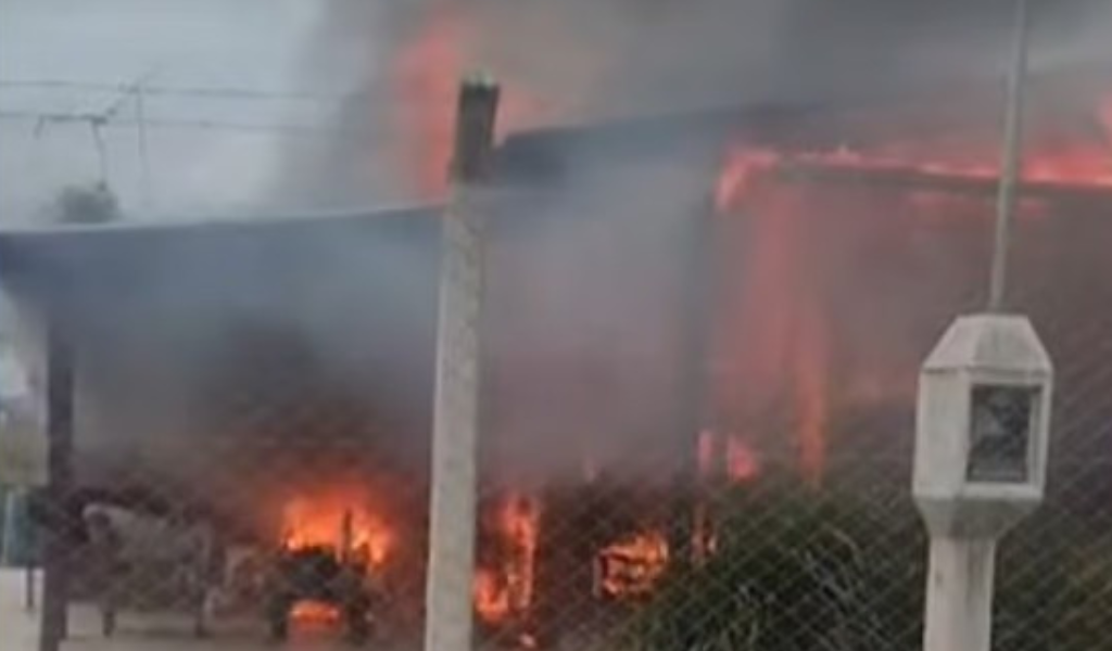 Un trágico incendio consume una vivienda en Cerrillos y provoca la muerte de cinco mascotas
