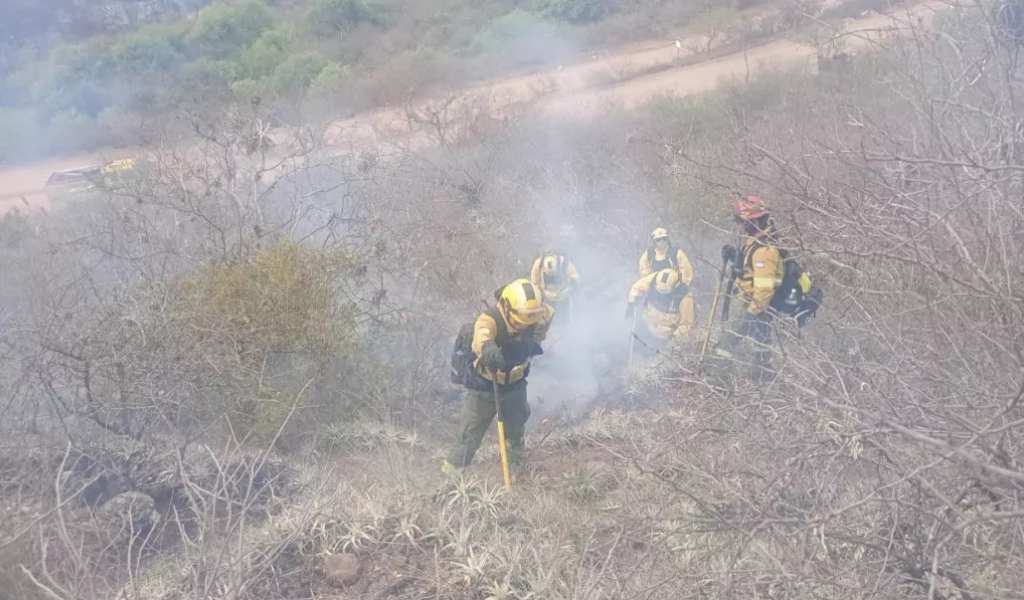 Después de varias horas de lucha bomberos y defensa Civil lograron apagar un incendio de bosques nativos cercanos al río Juramento