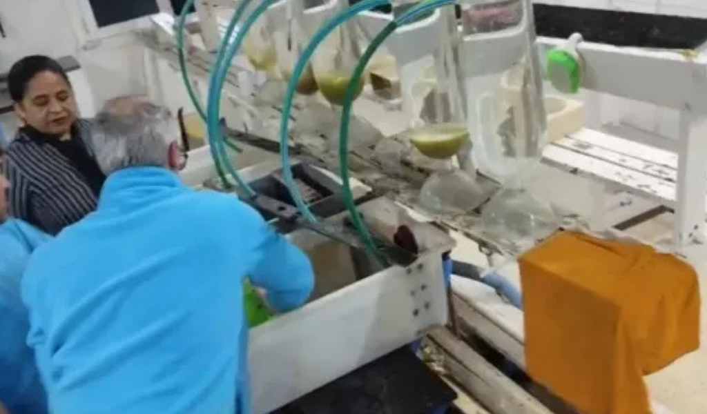 Con el objetivo de fortalecer la repoblación de especies liberaron 18 mil alevinos de pejerrey en el dique Cabra Corral