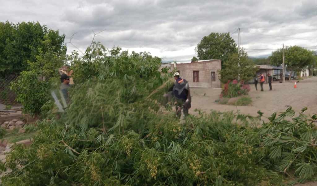 Fuertes vientos durante la madrugada causaron grandes daños en Metán: Hubo cortes de energía, voladura de techos y caída de árboles