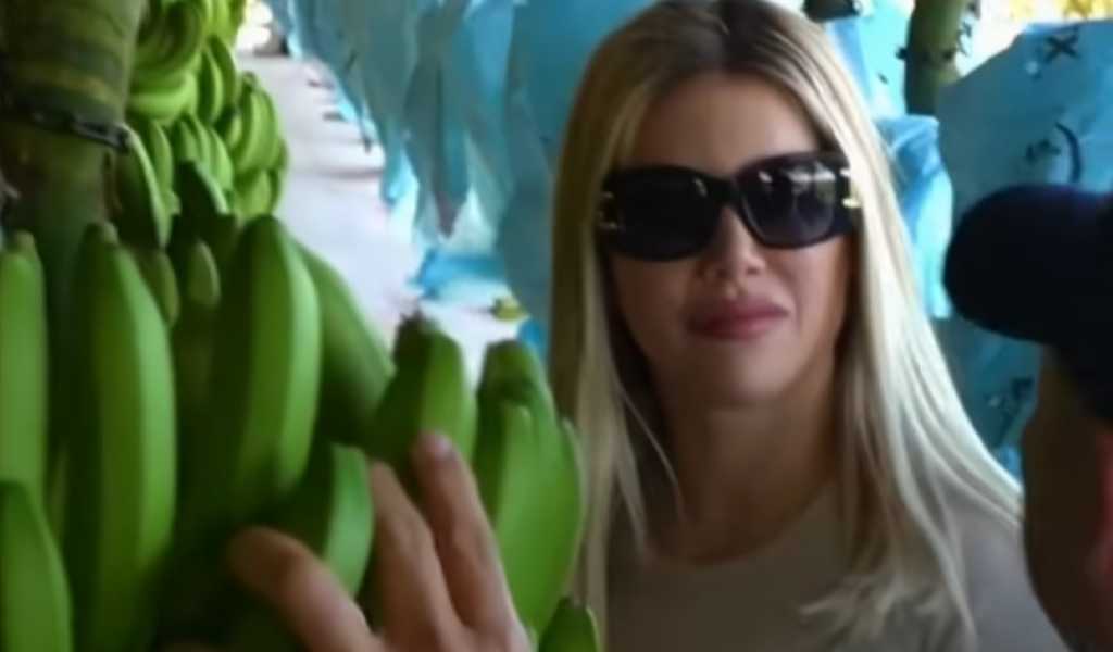 Banana banalizada: Cuestionan que hayan usado a Wanda Nara para promocionar la producción de esta fruta en Salta