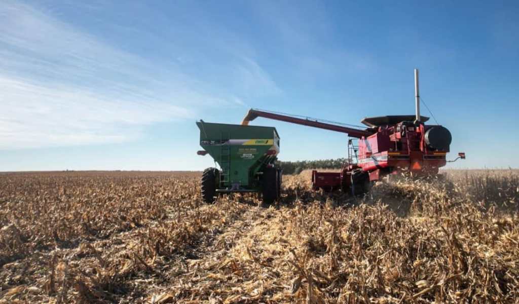 Desesperado por los dólares, Toto Caputo vuelve a bajarle las retenciones al campo