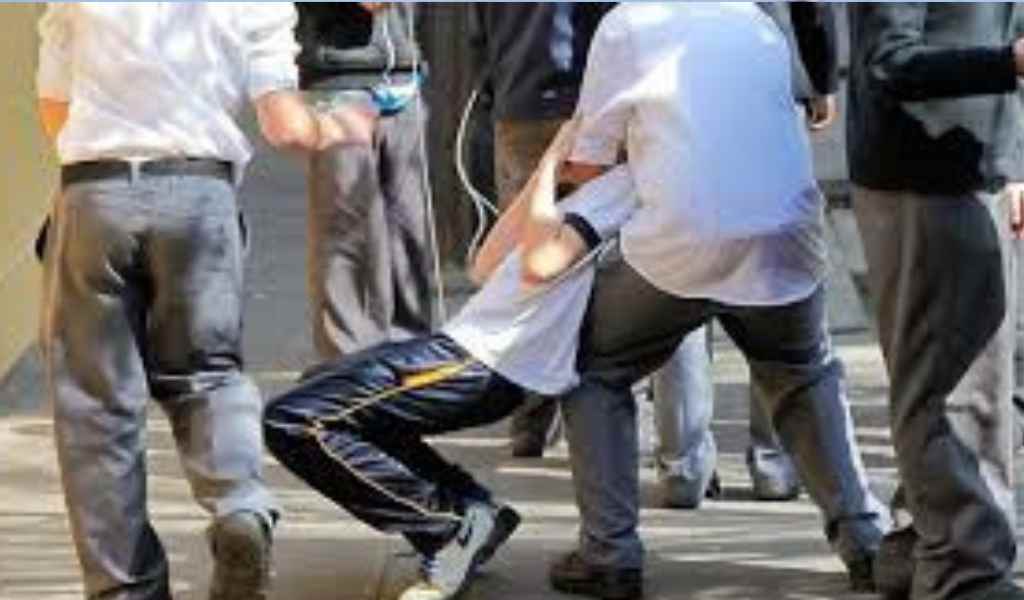 En Mendoza aprobaron un proyecto que busca multar a los padres de los menores que hagan bullying en las escuelas