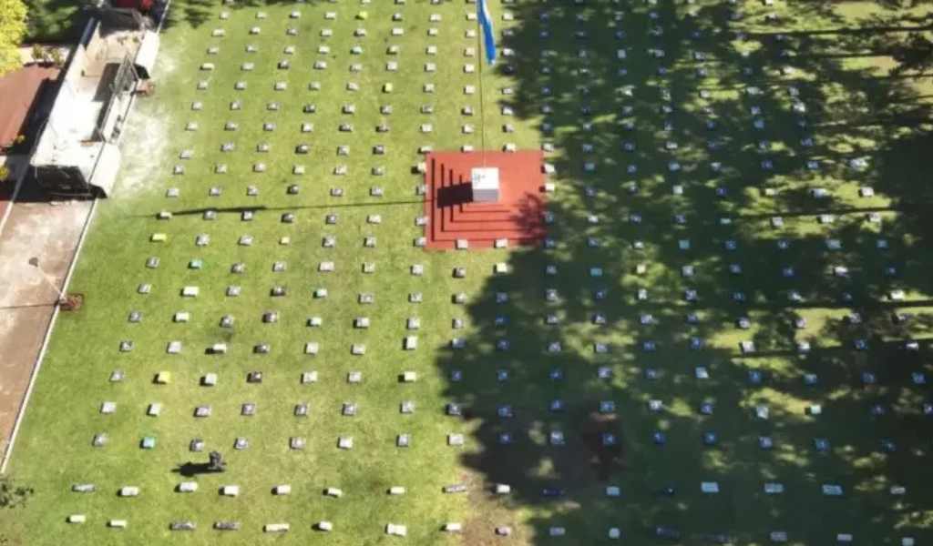 En Misiones se inacautó el mayor cargamento  de droga en la historia argentina: 9.800 kilos de marihuana