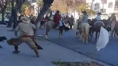 La policía busca al gaucho que le pegó a un perrito durante la procesión a la Virgen del Perpetuo Socorro