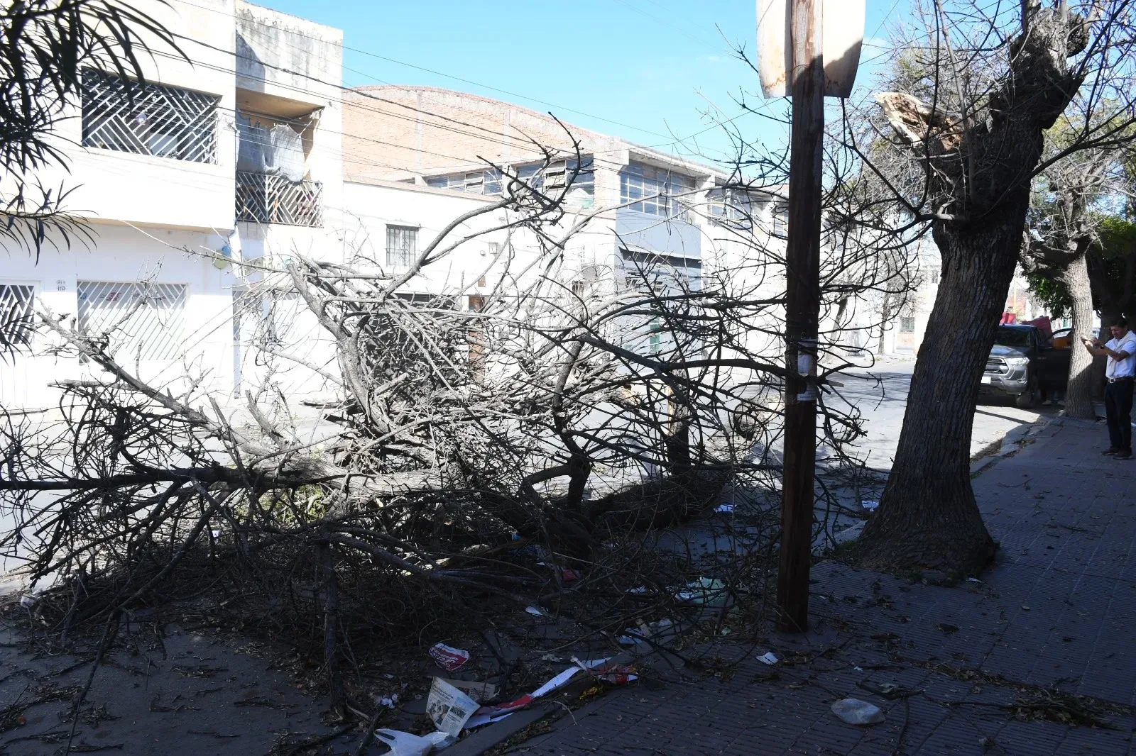 El municipio de Salta  se encuentra trabajando en, por lo menos 23 incidentes que fueron causados por el viento Zonda