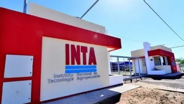 Pese al rechazo de los decretos a Milei, el Gobierno despidió a 367 trabajadores del INTA, INASE e INV