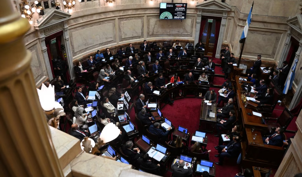 El Senado sancionó las leyes jubilatorias, la reactivación de la moratoria y la emergencia en discapacidad