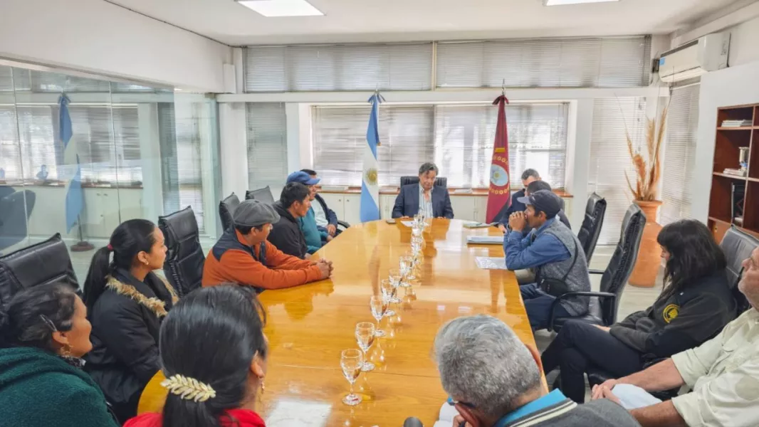 De la Puna a los campamentos: Buscan incorporar carne de cabra y oveja en los menús mineros de Salta