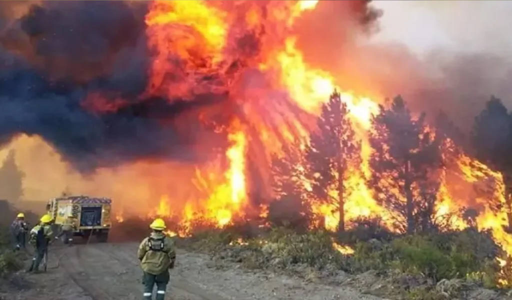 Brigadistas de Parques Nacionales exigieron "salario digno y jubilación acorde" al gobierno de Javier Milei