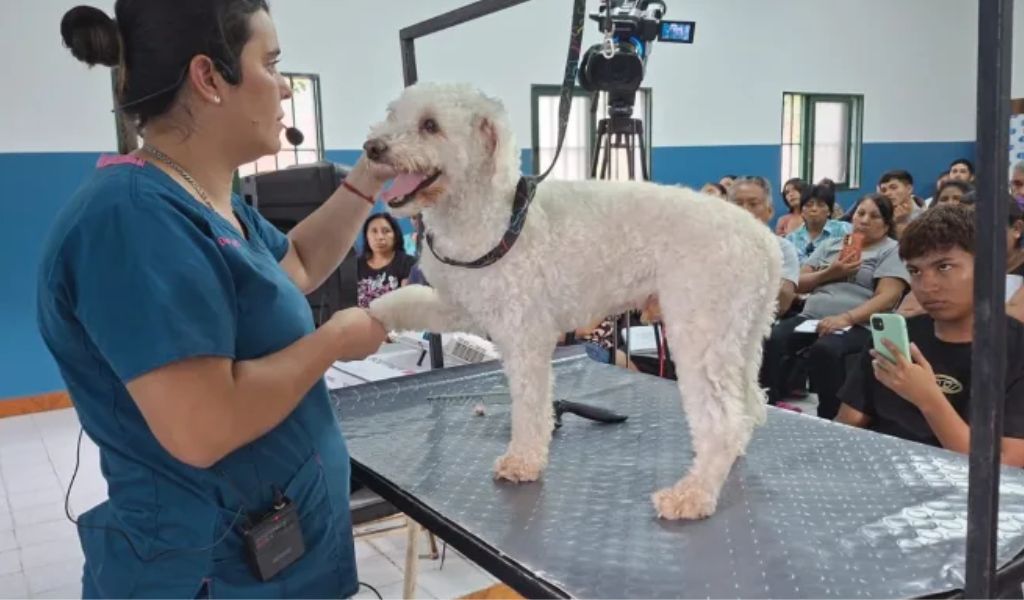 ¡Atención zona norte! El Municipio lleva el taller de Peluquería Canina al barrio Mosconi
