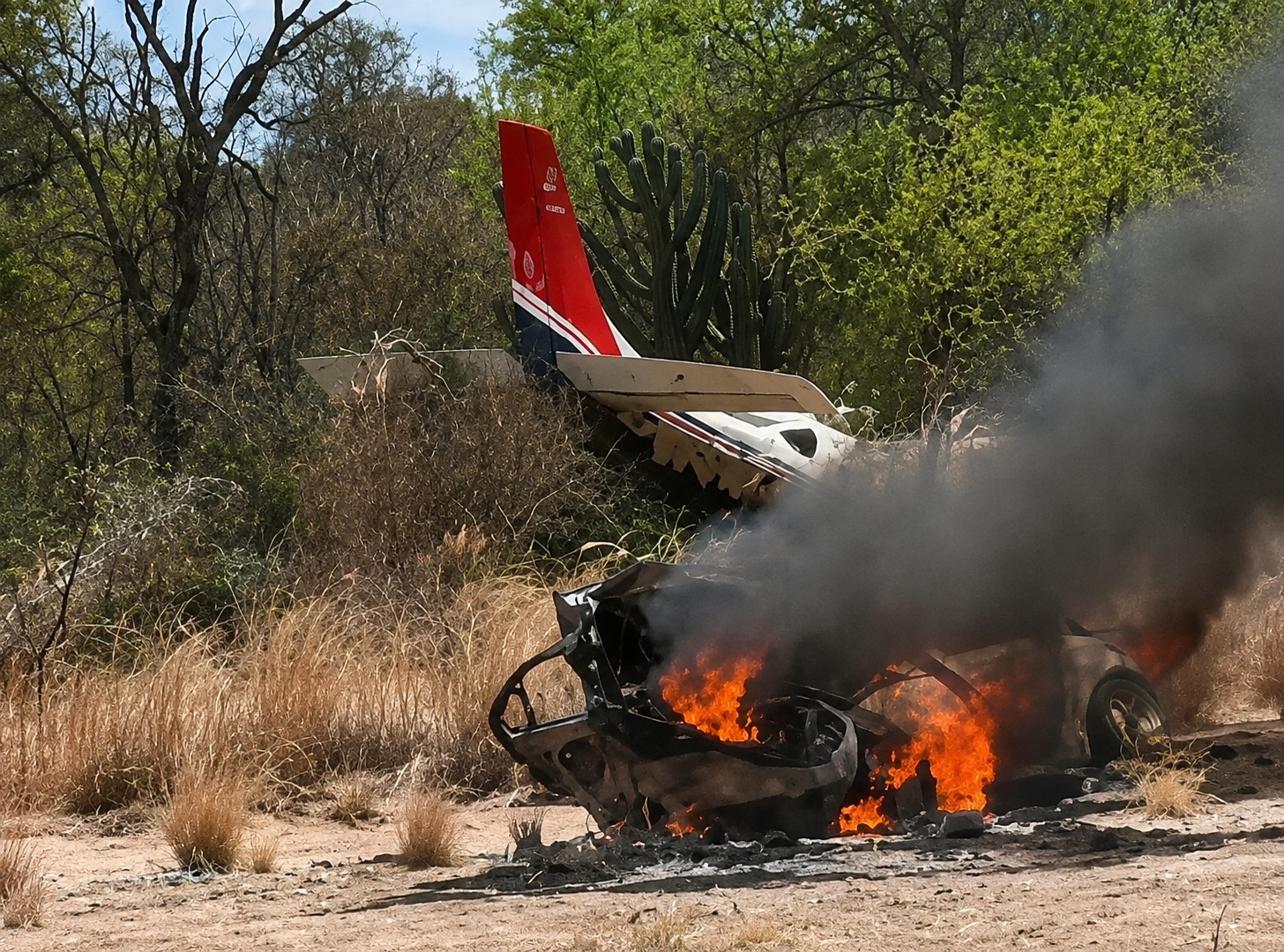 Avioneta narco en Rosario de la Frontera: Tres imputados acordaron condenas de hasta seis años de prisión