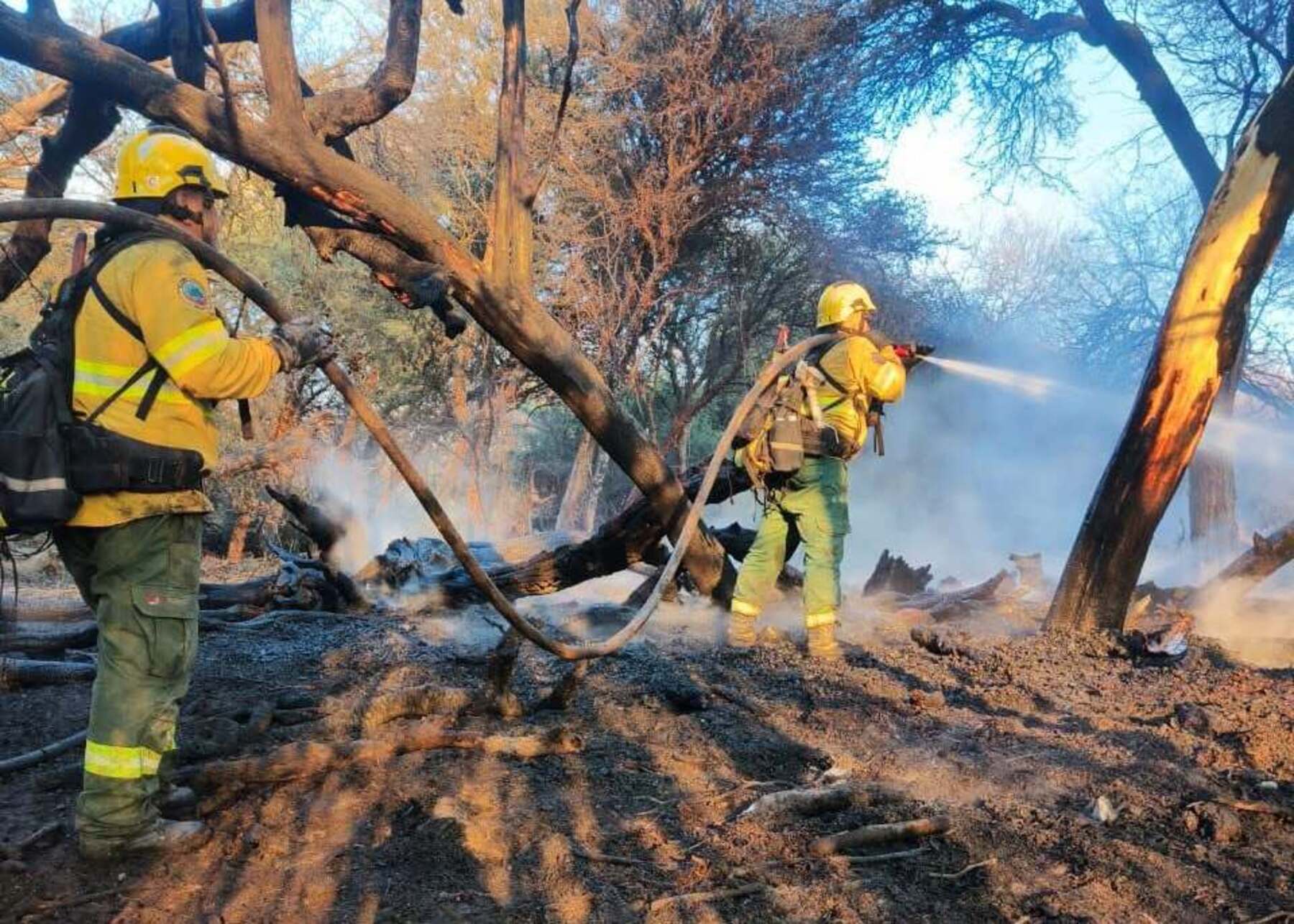 El sospechoso de haber iniciado el incendio forestal en Cafayate podría recibir una condena de 3 a 10 años de prisión
