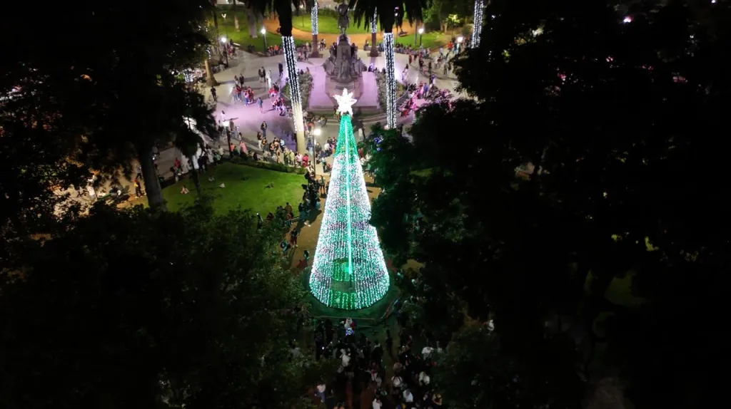 A todas luces se encendió el árbol de Navidad en Plaza 9 de Julio