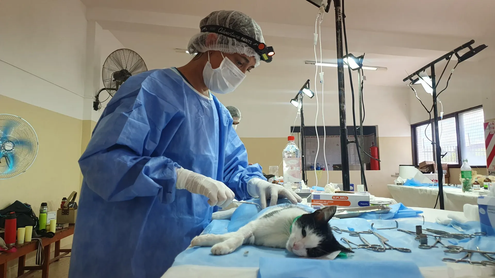 El nuevo Hospital de Mascotas, anunciado por el intendente Emiliano Durand, se construirá en la zona sudeste de la ciudad