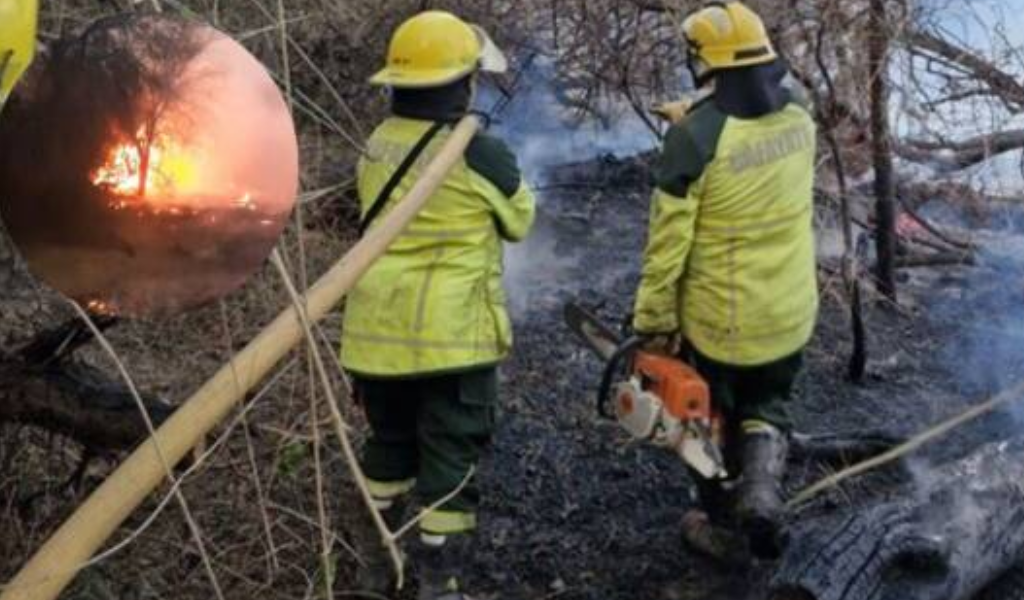 Fue intencional el Incendio forestal ocurrido en Cafayate: Una bombera sufrió quemaduras