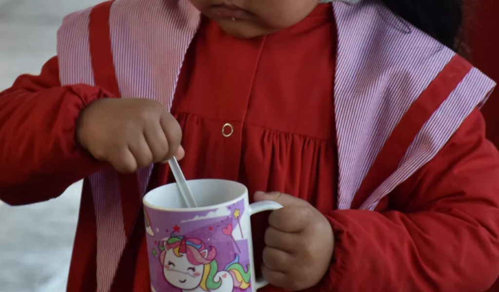 Confirmaron que 85.000 chicos de la primaria de Salta recibirán la Copa de Leche desde el primer día de clases