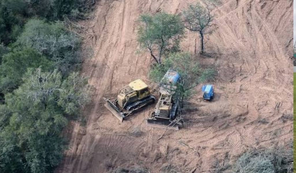 La Justicia elevó a $21.800 millones el embargo contra dos empresarios por un desmonte ilegal en el norte de Salta
